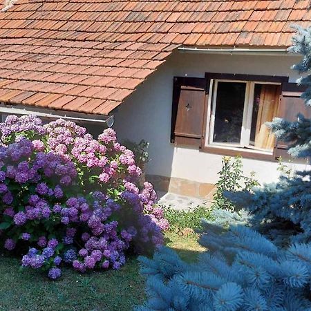 Apartman Nebojsa Rudnik Dış mekan fotoğraf