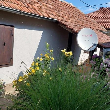 Apartman Nebojsa Rudnik Dış mekan fotoğraf