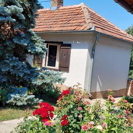 Apartman Nebojsa Rudnik Dış mekan fotoğraf