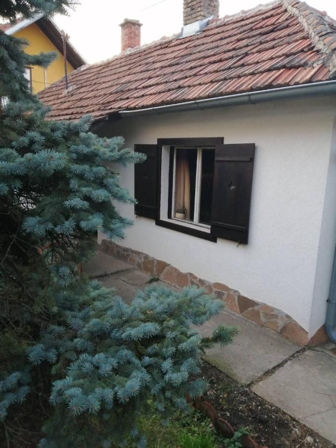 Apartman Nebojsa Rudnik Dış mekan fotoğraf
