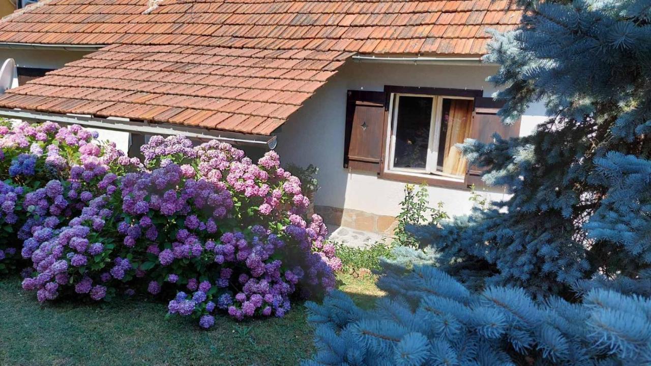 Apartman Nebojsa Rudnik Dış mekan fotoğraf