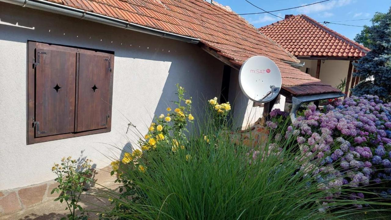 Apartman Nebojsa Rudnik Dış mekan fotoğraf