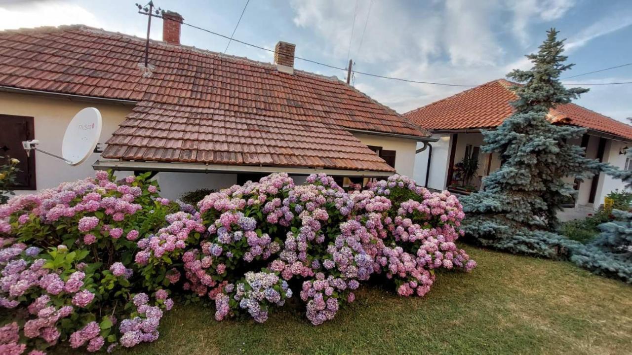 Apartman Nebojsa Rudnik Dış mekan fotoğraf