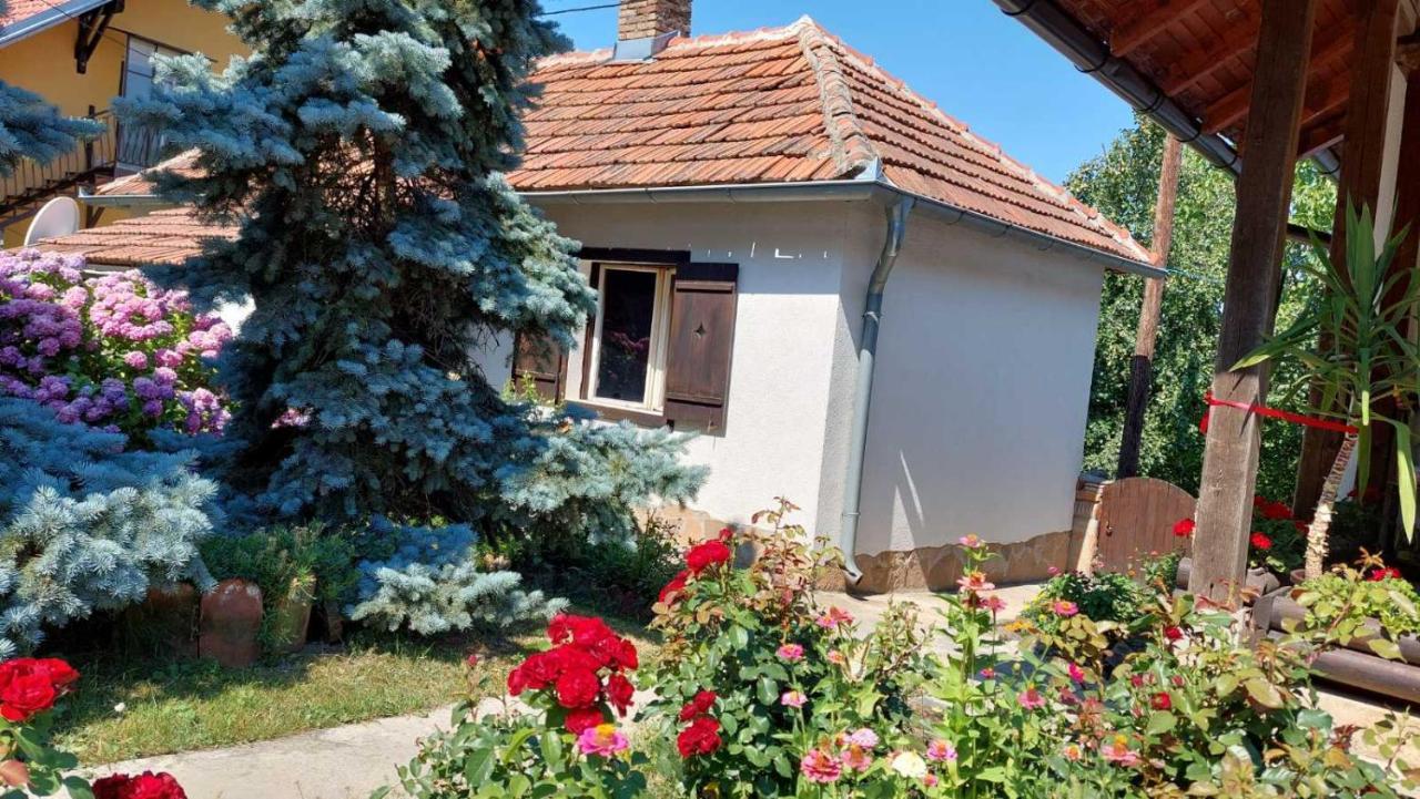 Apartman Nebojsa Rudnik Dış mekan fotoğraf