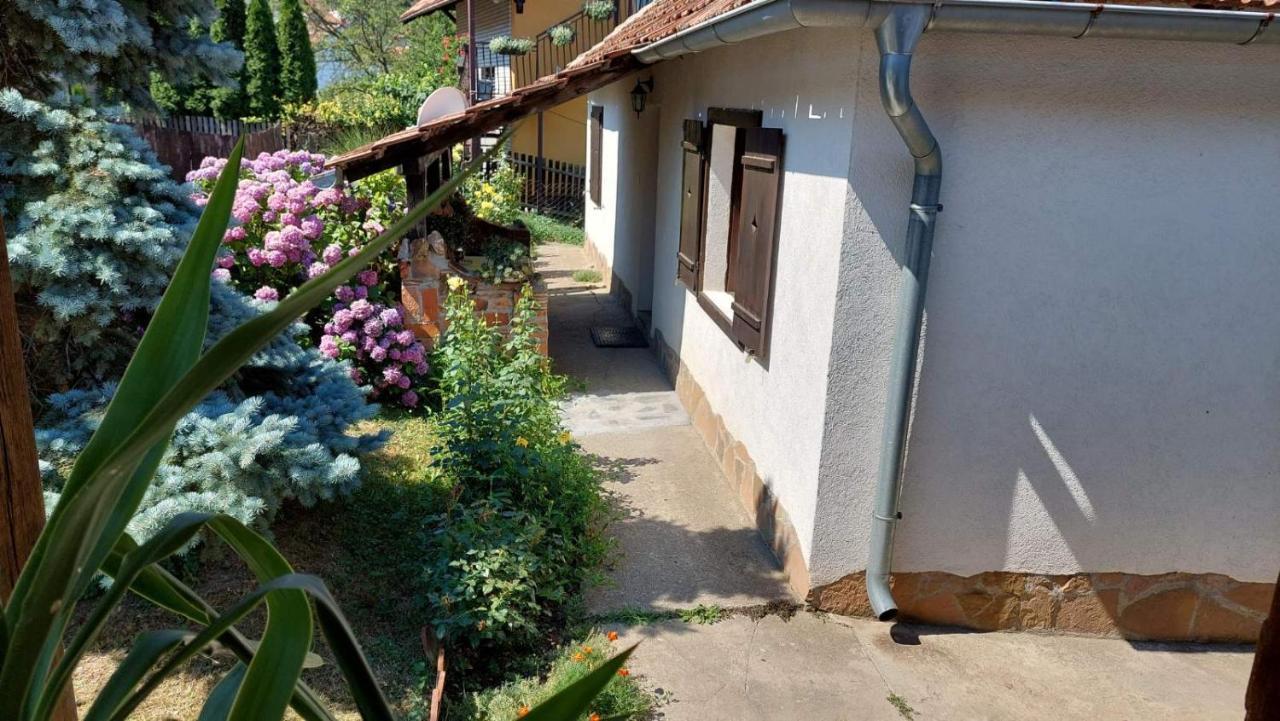 Apartman Nebojsa Rudnik Dış mekan fotoğraf
