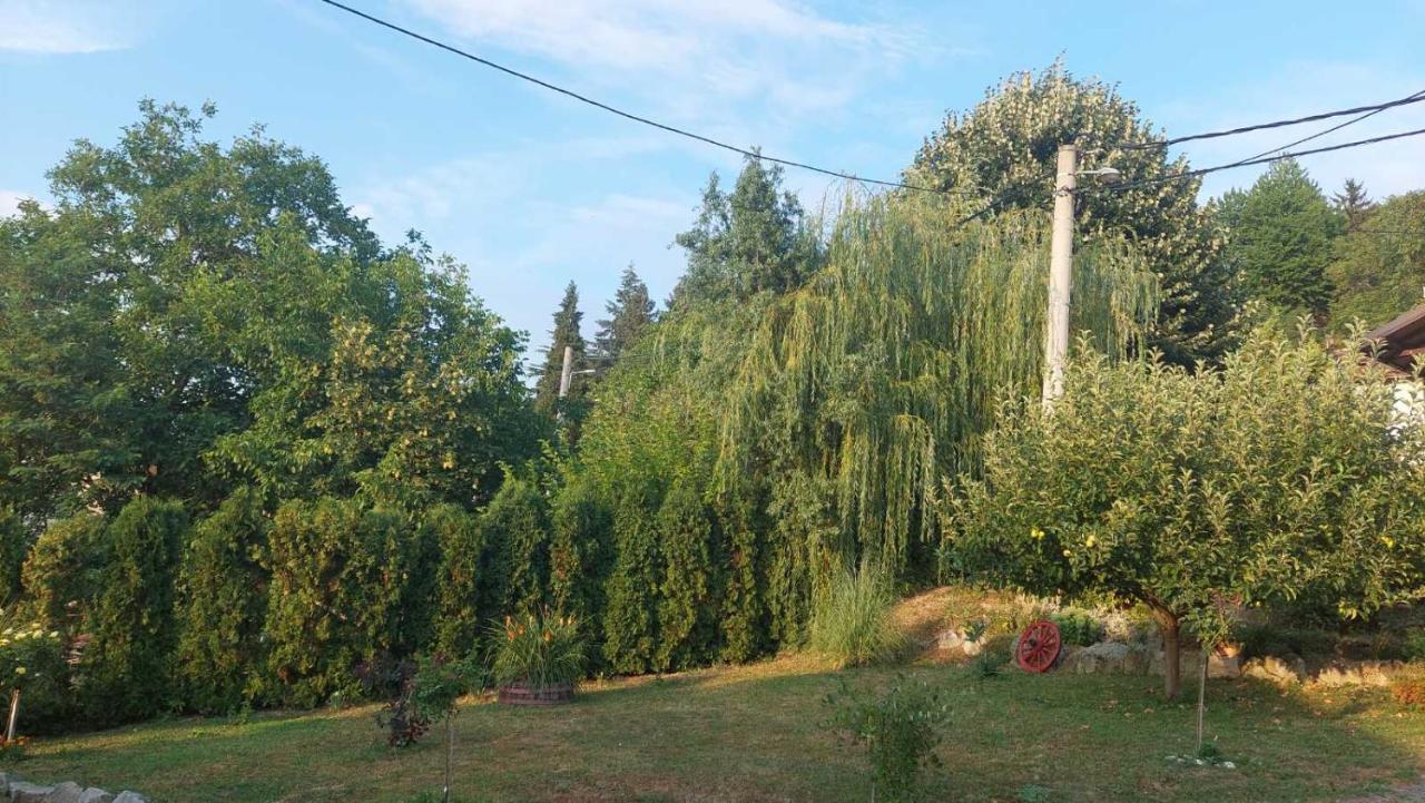 Apartman Nebojsa Rudnik Dış mekan fotoğraf