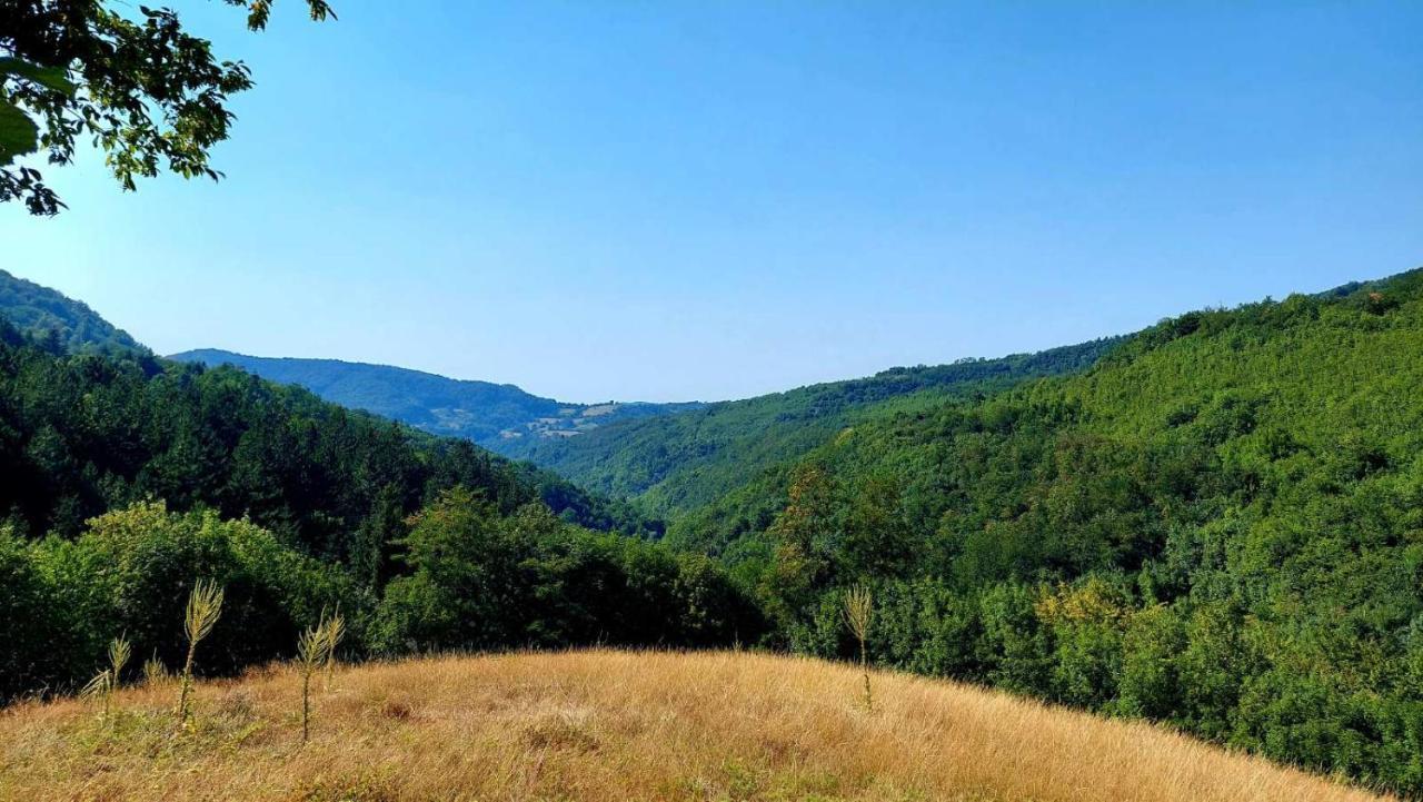 Apartman Nebojsa Rudnik Dış mekan fotoğraf